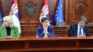 Brnabić: Vlada povlači zakon